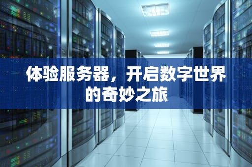 体验服务器，开启数字世界的奇妙之旅