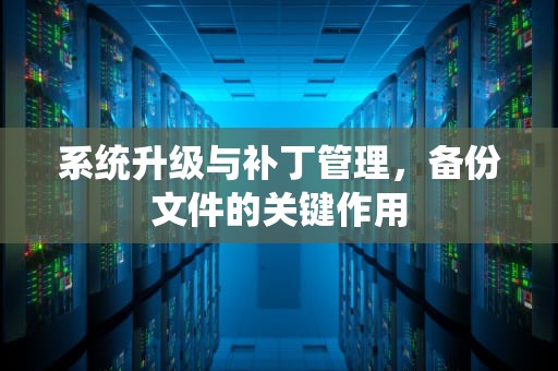 系统升级与补丁管理，备份文件的关键作用