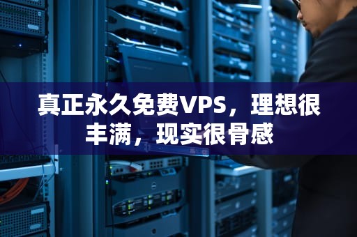 真正永久免费VPS，理想很丰满，现实很骨感