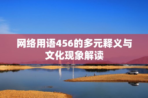 网络用语456的多元释义与文化现象解读
