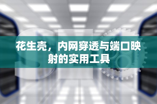 花生壳，内网穿透与端口映射的实用工具