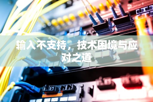 输入不支持，技术困境与应对之道