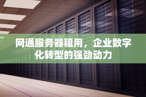 网通服务器租用，企业数字化转型的强劲动力