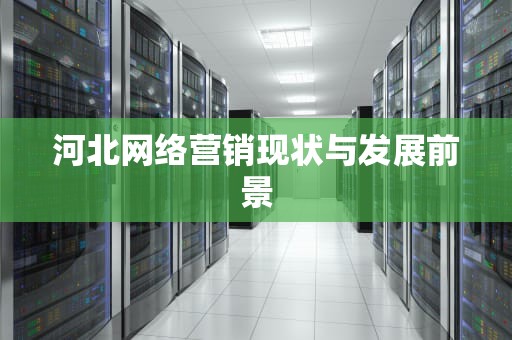河北网络营销现状与发展前景
