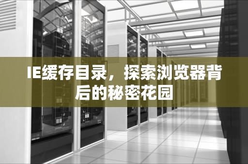 IE缓存目录，探索浏览器背后的秘密花园