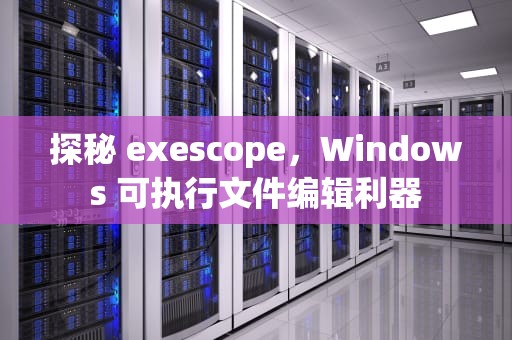探秘 exescope，Windows 可执行文件编辑利器