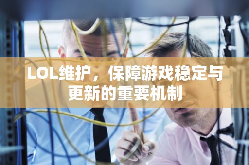 LOL维护，保障游戏稳定与更新的重要机制