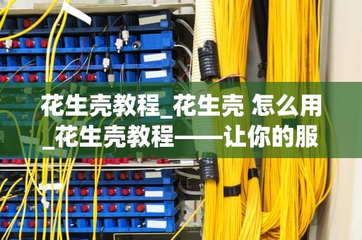 花生壳教程_花生壳 怎么用_花生壳教程——让你的服务器更加安全