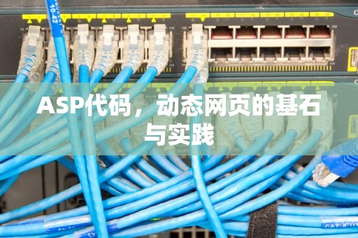 ASP代码，动态网页的基石与实践