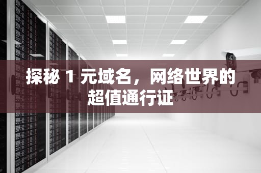 探秘 1 元域名，网络世界的超值通行证