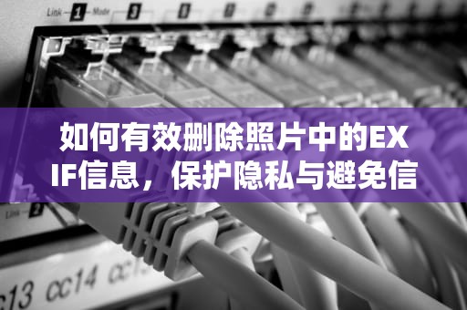 如何有效删除照片中的EXIF信息，保护隐私与避免信息泄露的实用指南