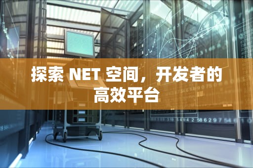 探索 NET 空间，开发者的高效平台