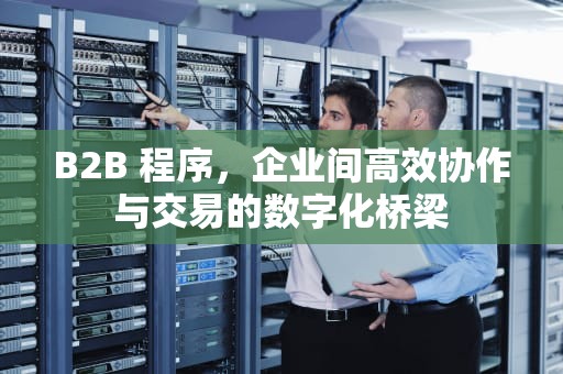 B2B 程序，企业间高效协作与交易的数字化桥梁