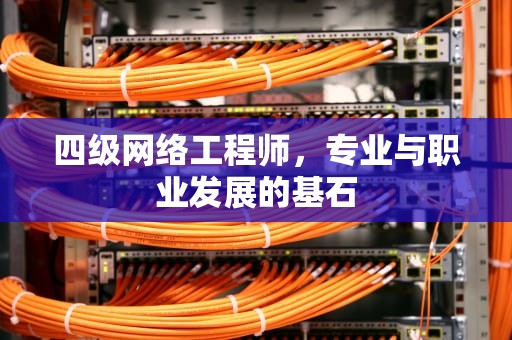 四级网络工程师,专业与职业发展的基石 四级网络工程师,专业与职业发展的基石