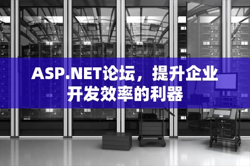 ASP.NET论坛，提升企业开发效率的利器