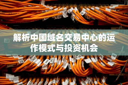 解析中国域名交易中心的运作模式与投资机会