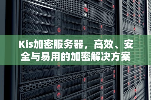 Kis加密服务器，高效、安全与易用的加密解决方案