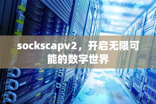 sockscapv2，开启无限可能的数字世界