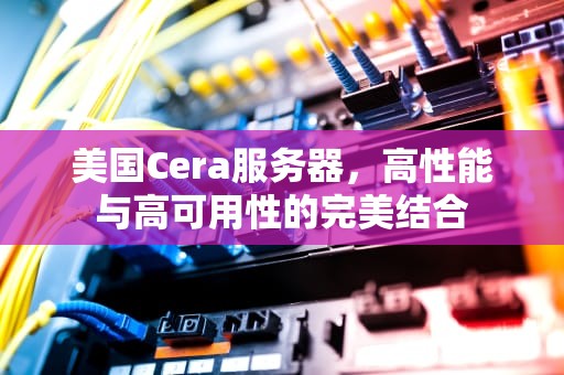 美国Cera服务器，高性能与高可用性的完美结合