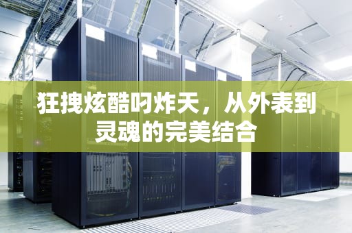 狂拽炫酷叼炸天，从外表到灵魂的完美结合