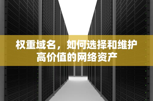 权重域名，如何选择和维护高价值的网络资产