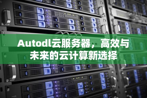 Autodl云服务器，高效与未来的云计算新选择