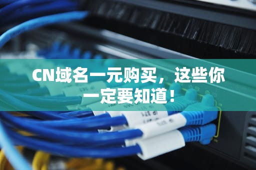 CN域名一元购买，这些你一定要知道！