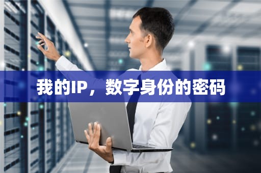 我的IP，数字身份的密码