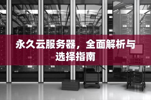 永久云服务器，全面解析与选择指南