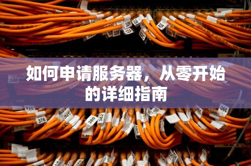 如何申请服务器，从零开始的详细指南