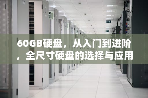 60GB硬盘，从入门到进阶，全尺寸硬盘的选择与应用