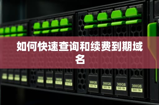 如何快速查询和续费到期域名