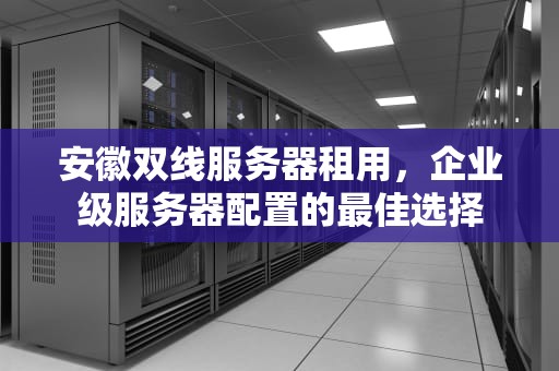 安徽双线服务器租用，企业级服务器配置的最佳选择