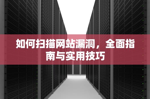 如何扫描网站漏洞，全面指南与实用技巧