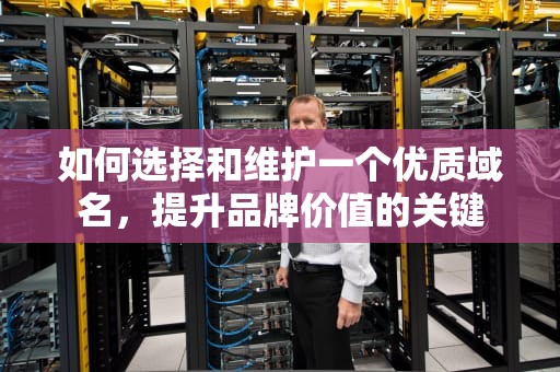 如何选择和维护一个优质域名，提升品牌价值的关键