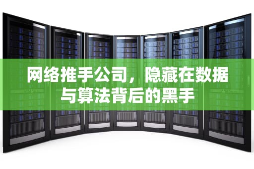 网络推手公司，隐藏在数据与算法背后的黑手