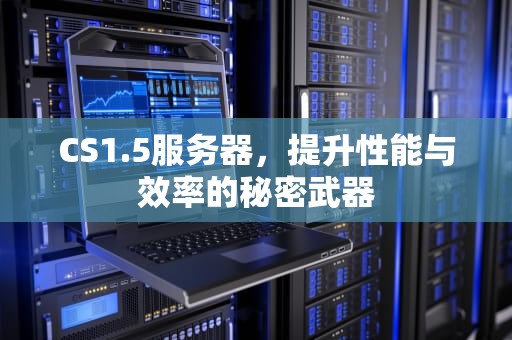 CS1.5服务器，提升性能与效率的秘密武器
