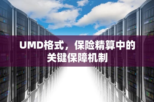 UMD格式，保险精算中的关键保障机制