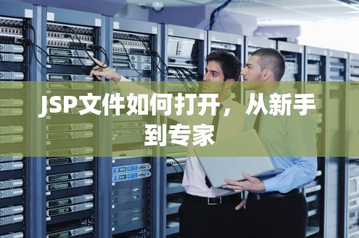 JSP文件如何打开，从新手到专家