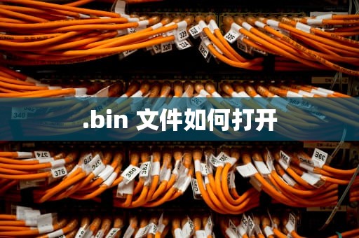 .bin 文件如何打开