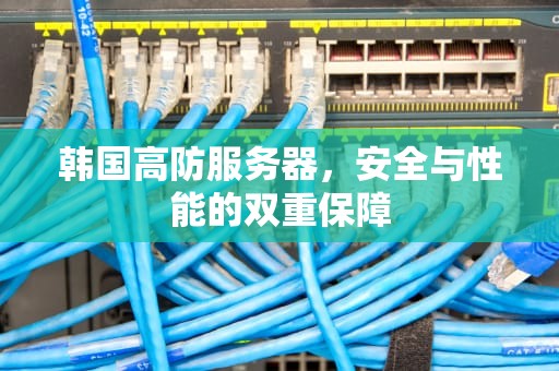 韩国高防服务器，安全与性能的双重保障