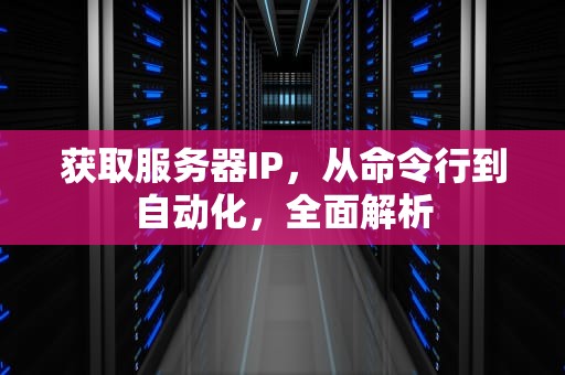 获取服务器IP，从命令行到自动化，全面解析