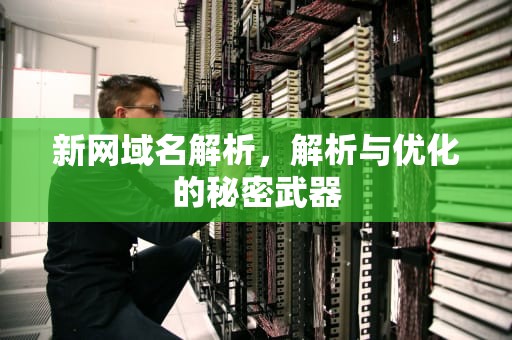 新网域名解析，解析与优化的秘密武器