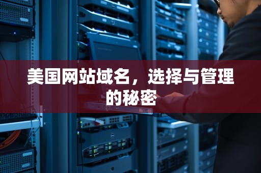 美国网站域名，选择与管理的秘密
