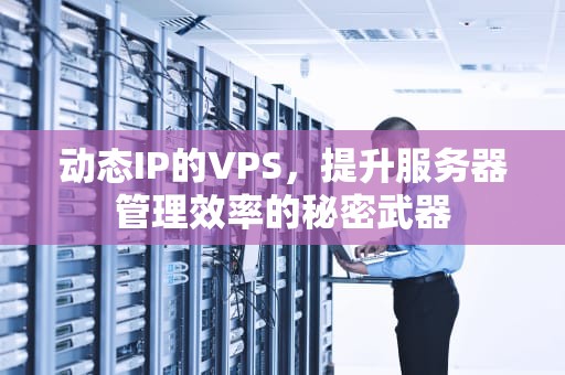 动态IP的VPS，提升服务器管理效率的秘密武器