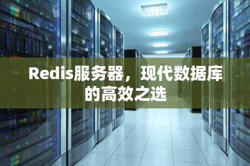 Redis服务器,现代数据库的高效之选 Redis服务器,现代数据库的高效之选