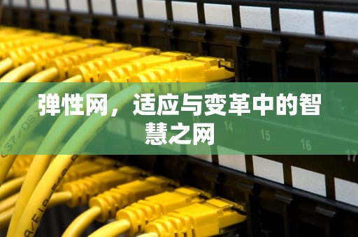 弹性网，适应与变革中的智慧之网