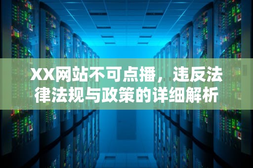 XX网站不可点播，违反法律法规与政策的详细解析
