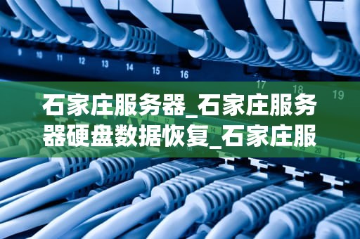 石家庄服务器_石家庄服务器硬盘数据恢复_石家庄服务器的发展历程与未来展望