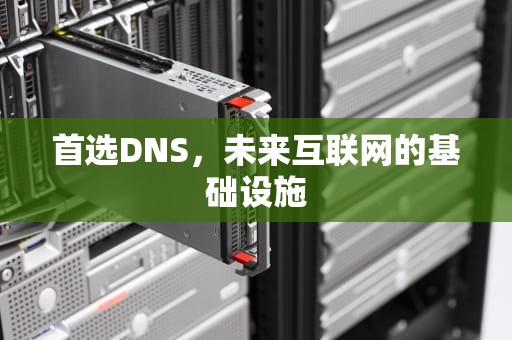 首选DNS，未来互联网的基础设施